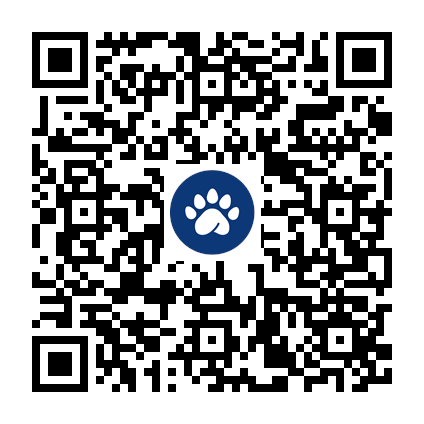 QR de trabaja con Nosotros